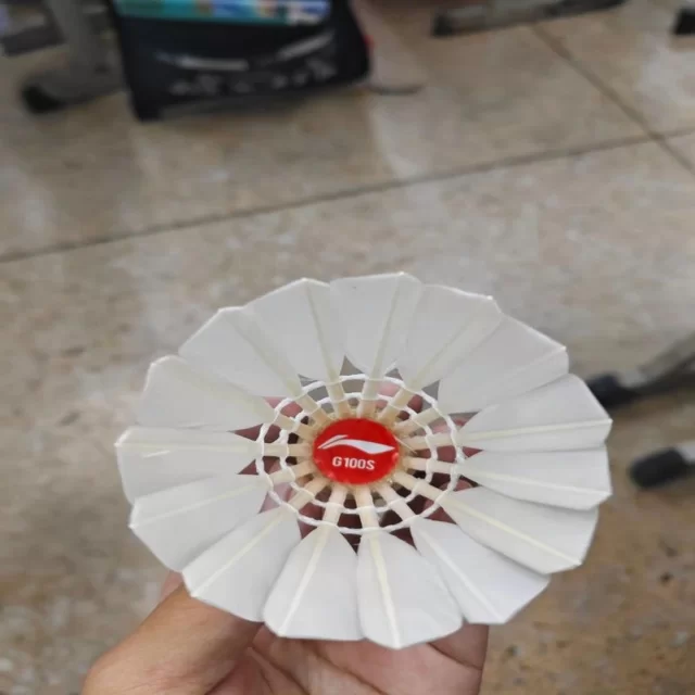 赛程调整对第65组的心理影响深度解析 特稿第8864期